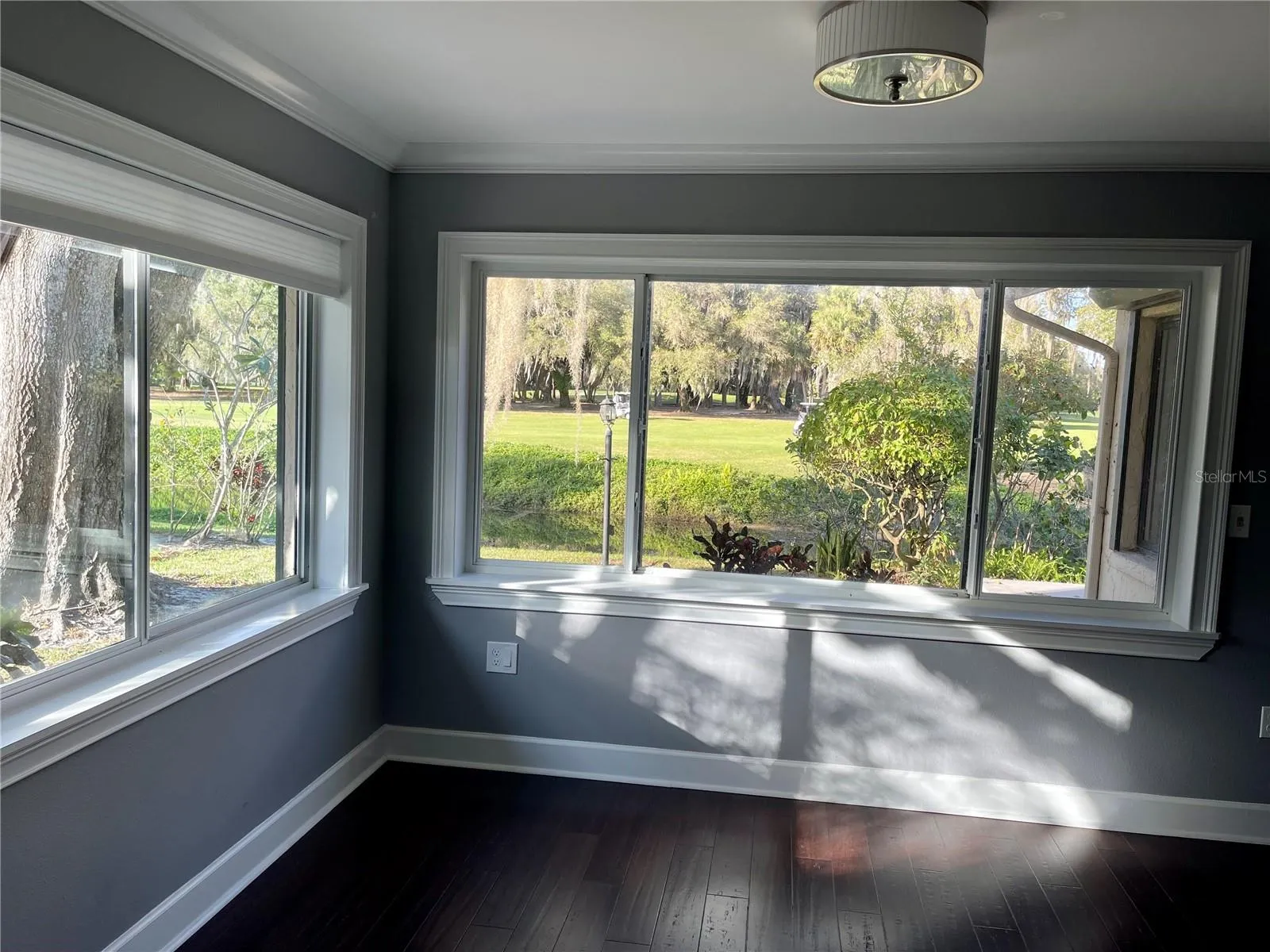 Dining Room Windows/View
