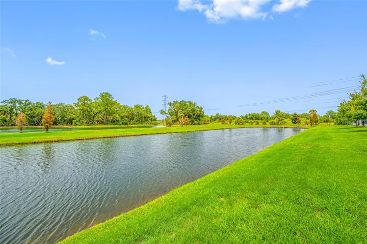 Backyard view