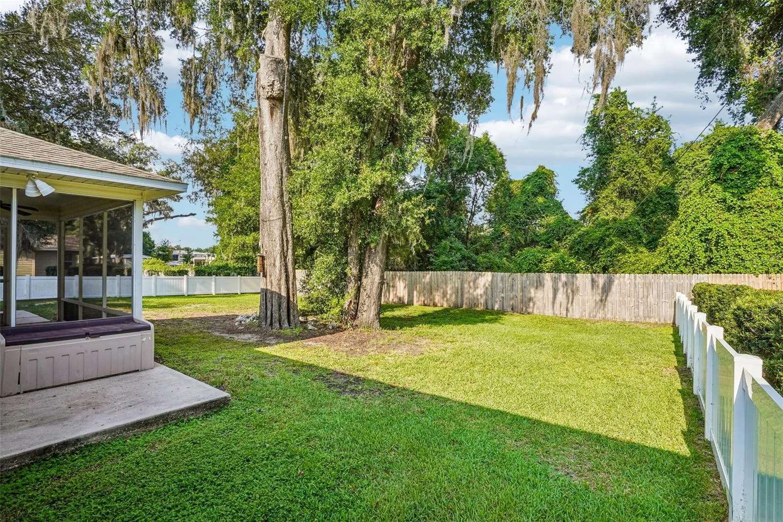 Beautiful Backyard
