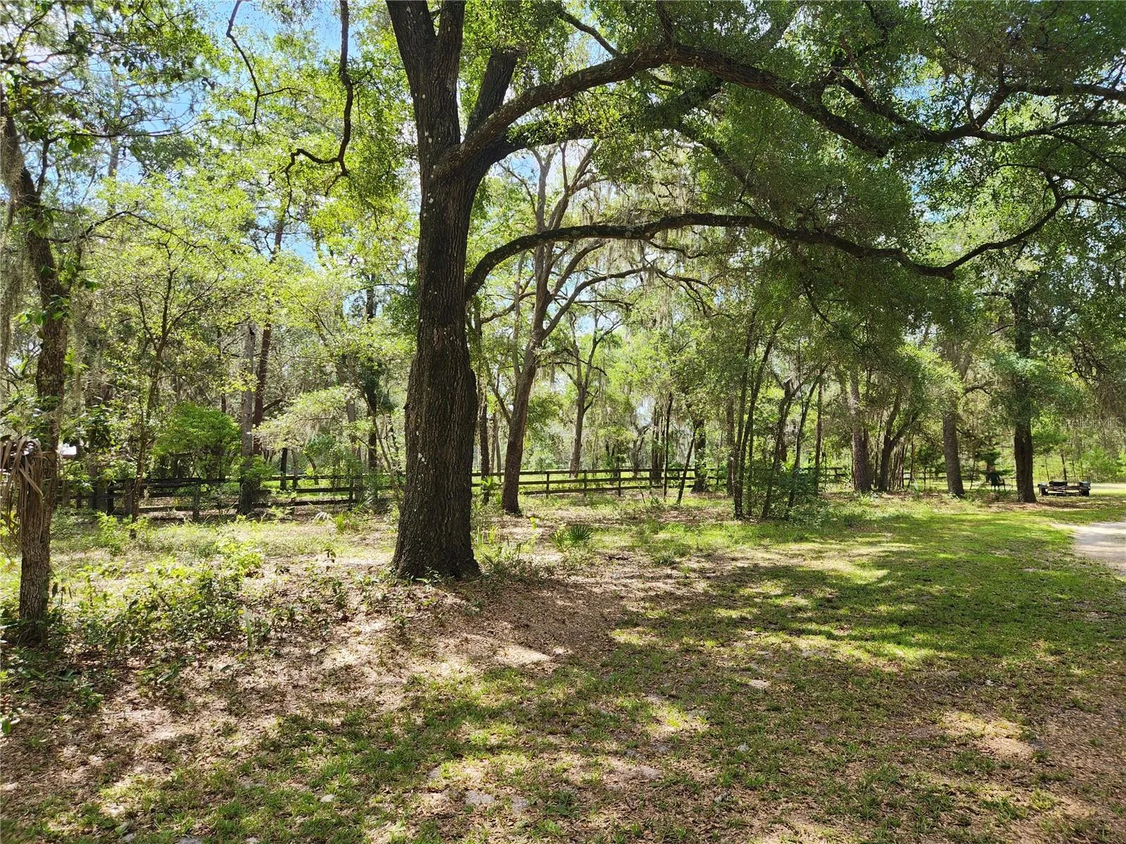 Side Yard