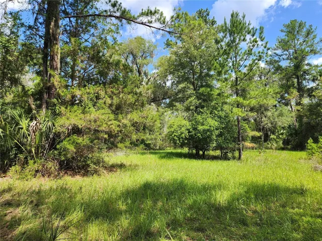 Wooded Areas