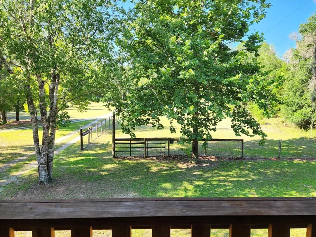 View From Balcony