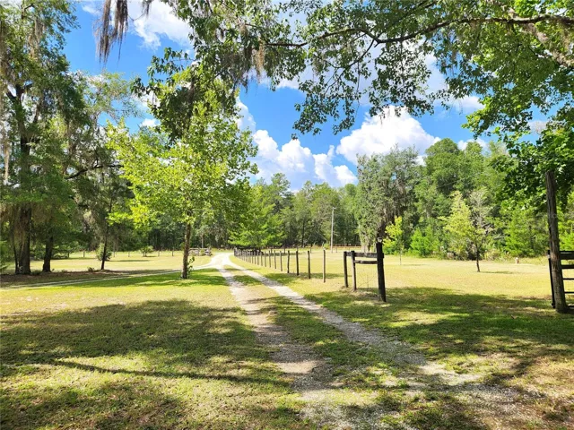 Driveway to Road
