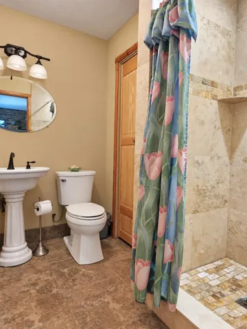 Downstairs Guest Bathroom