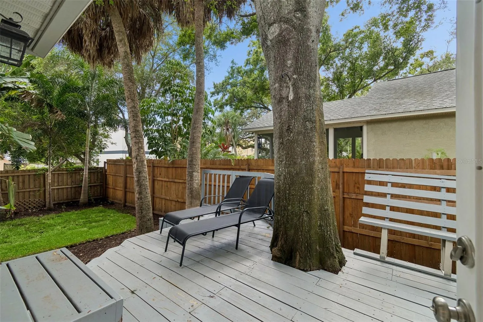 Large Deck (backyard)