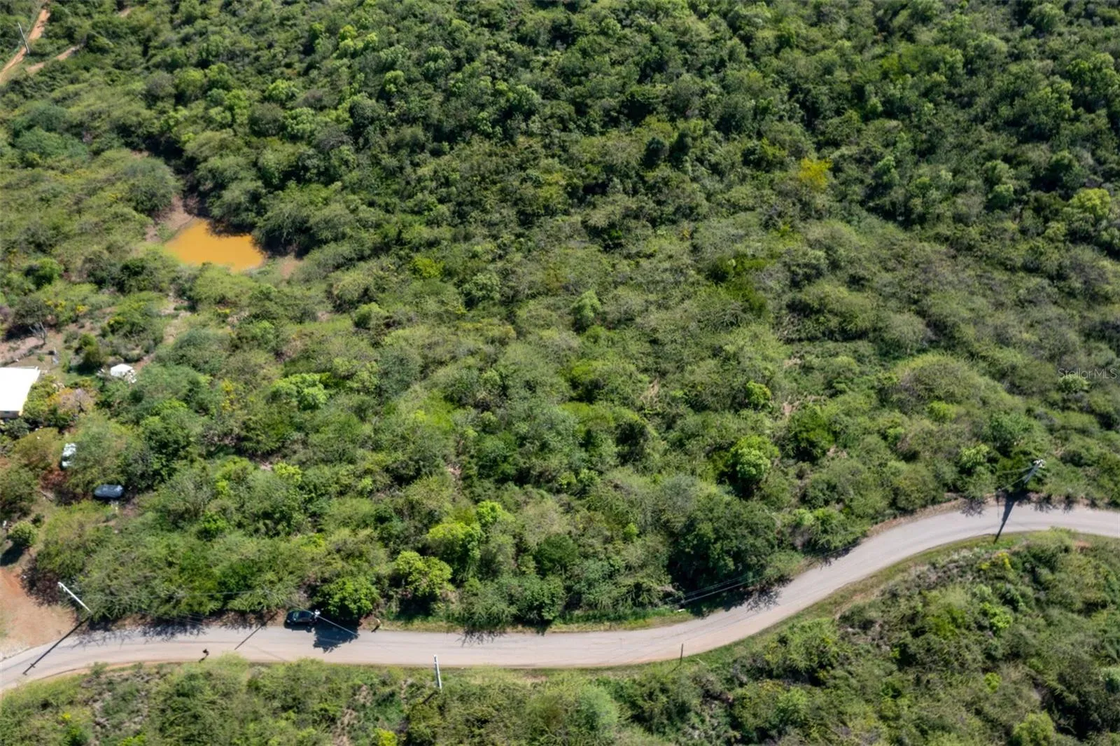 North/Low/Road Side of Property
