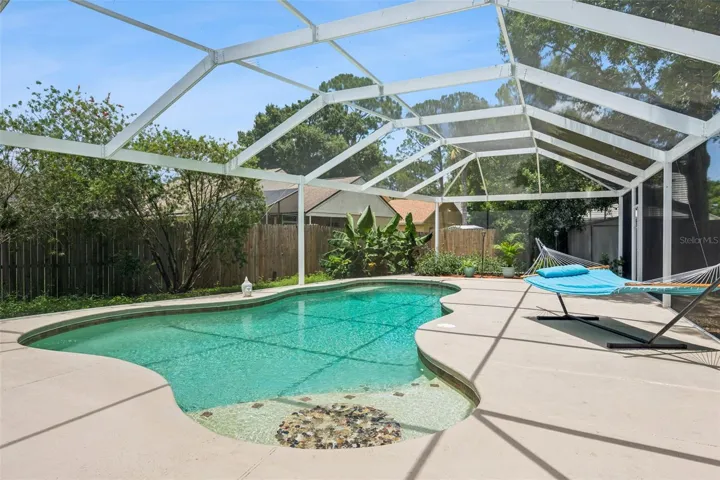 Screen Pool Oasis