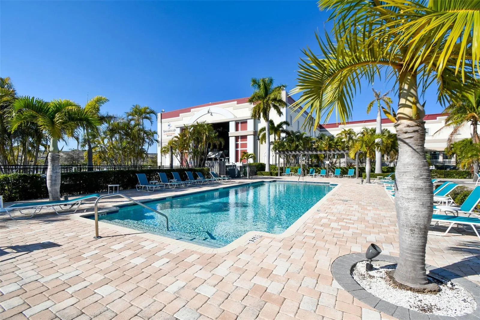 Loggerhead Marina Pool