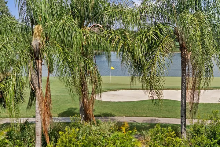 #11 Green