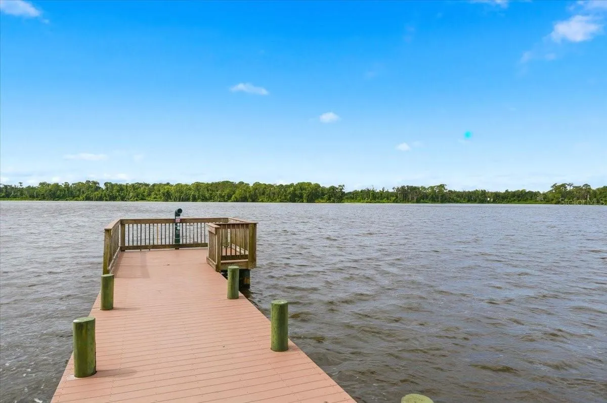 4110 Longfellow Dr, Plant City, Florida 33566 — photo 66