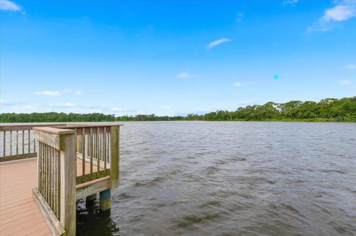 4110 Longfellow Dr, Plant City, Florida 33566 — photo 67