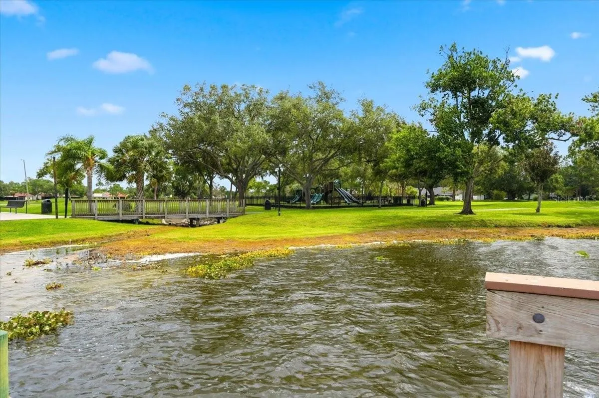 4110 Longfellow Dr, Plant City, Florida 33566 — photo 70
