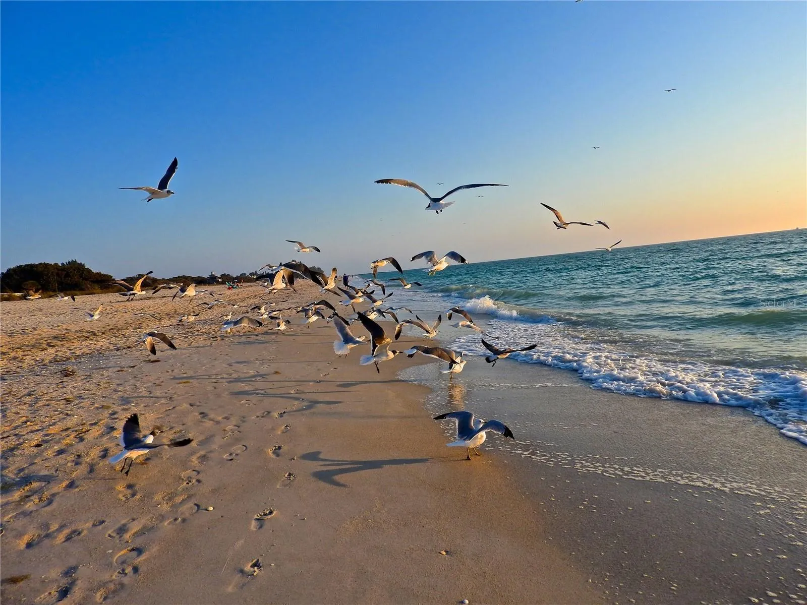 Manasota Beach