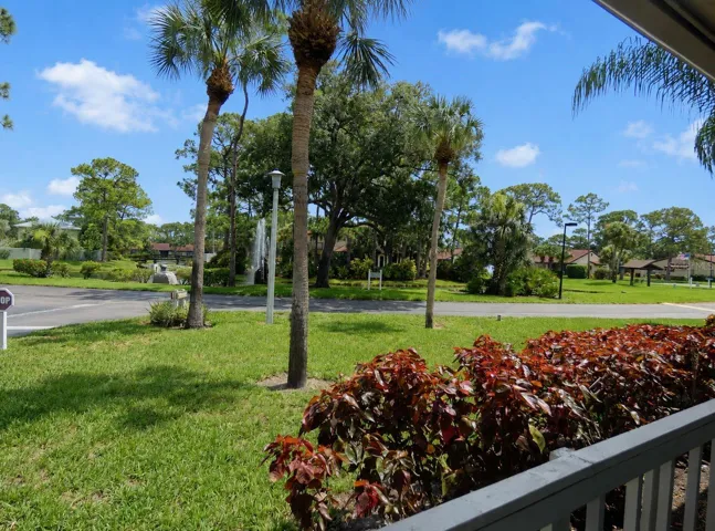 your front yard and you do othing