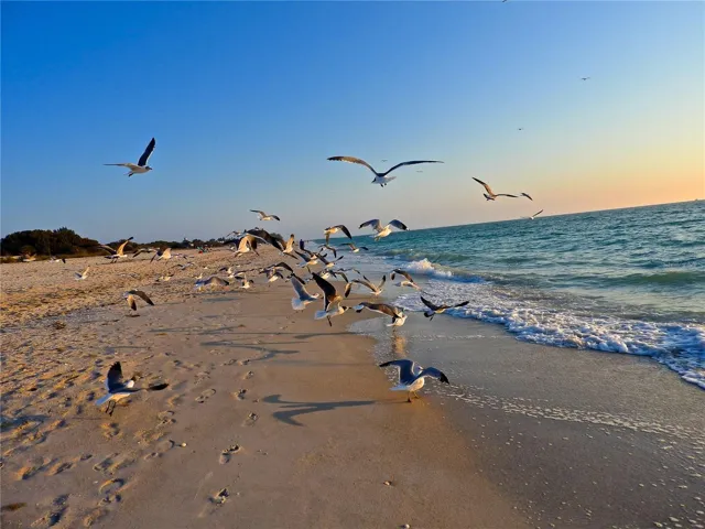 Manasota Beach