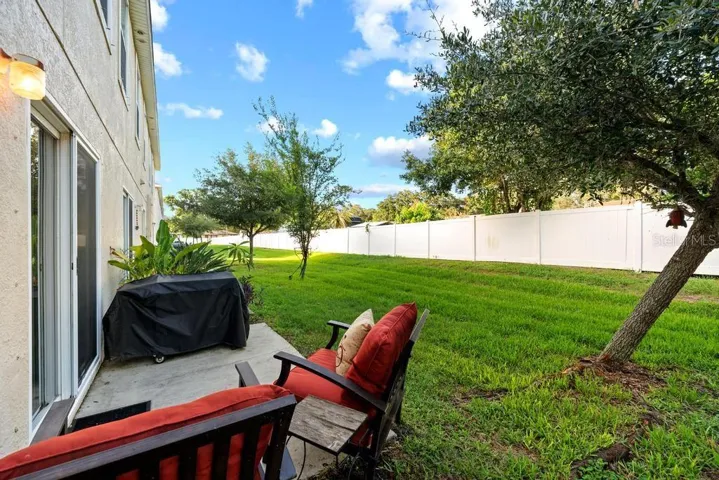 back yard space