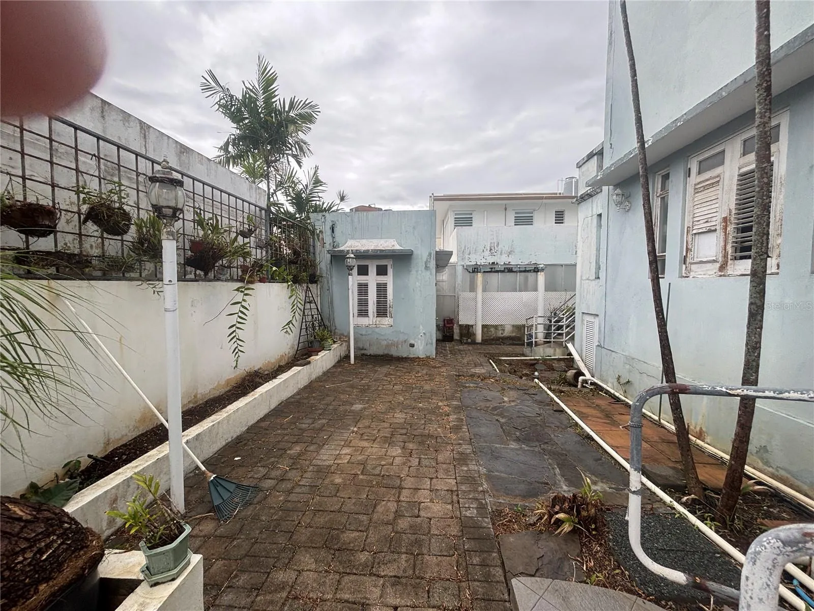 Backyard looking toward the detached studio.