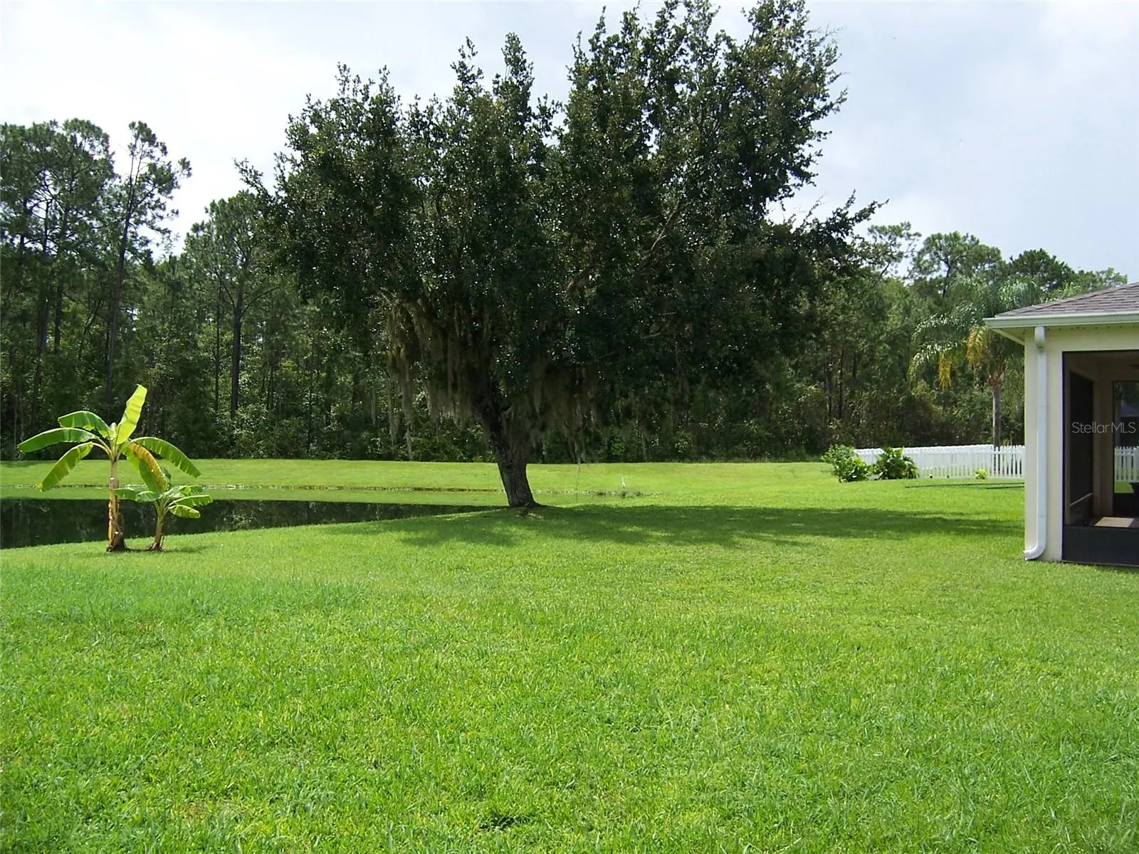 Open community back yard