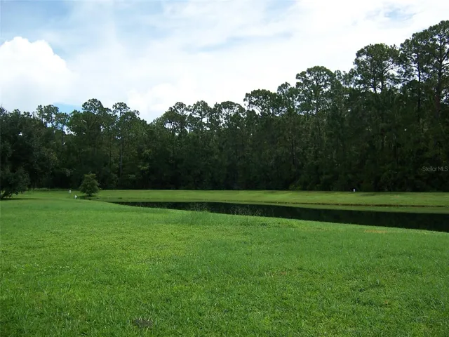 Community back yard