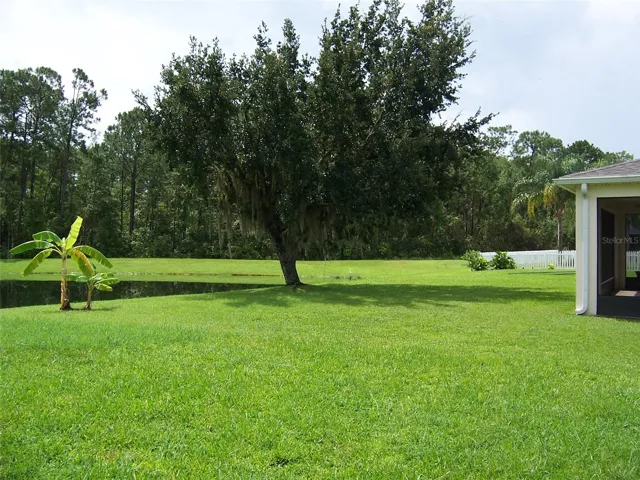 Open community back yard
