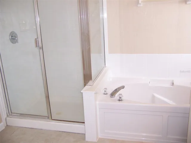 Separate Shower and Tub in Primary Bath