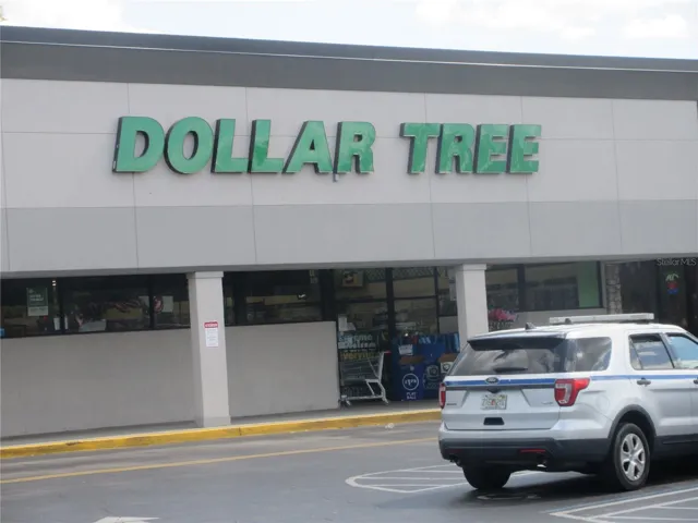 Neighboring Dollar Tree