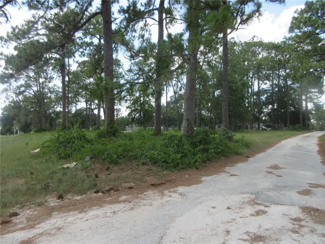 SE Corner 2nd side road