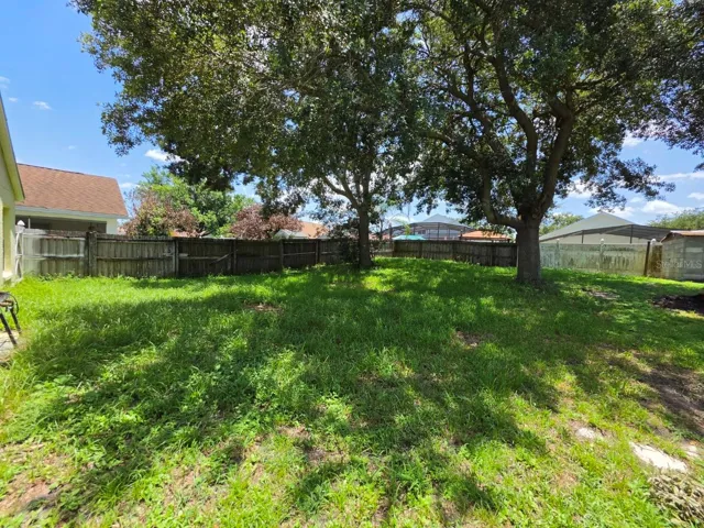 Large Backyard