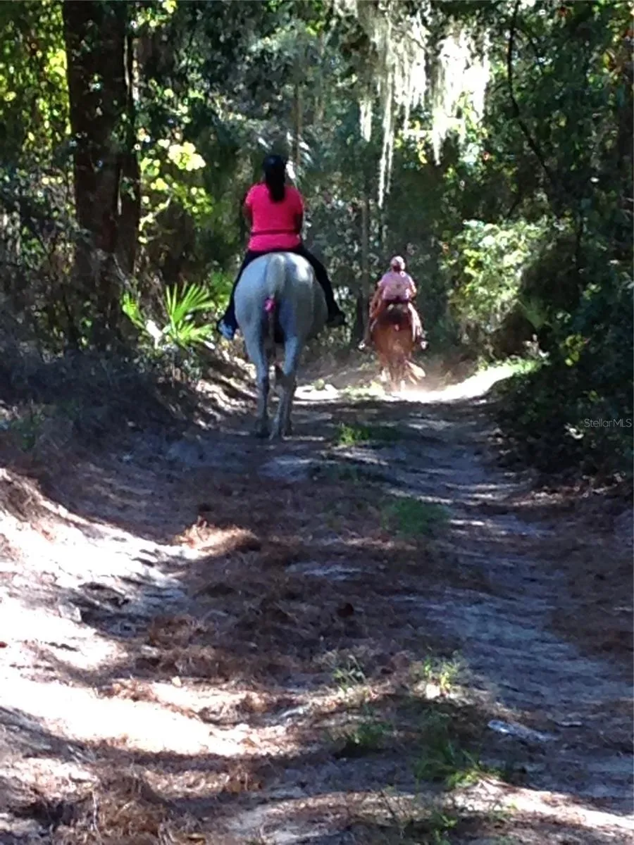 Local Trails