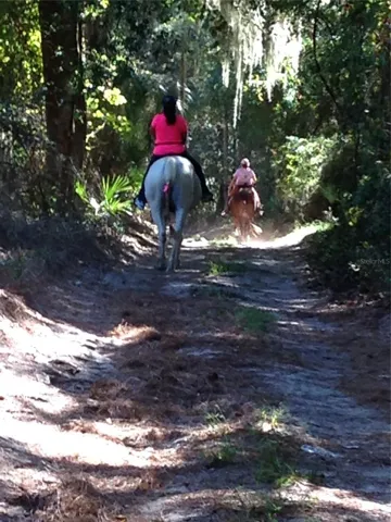 Local Trails