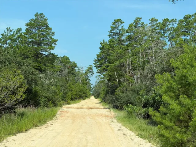 Forest Rd 02