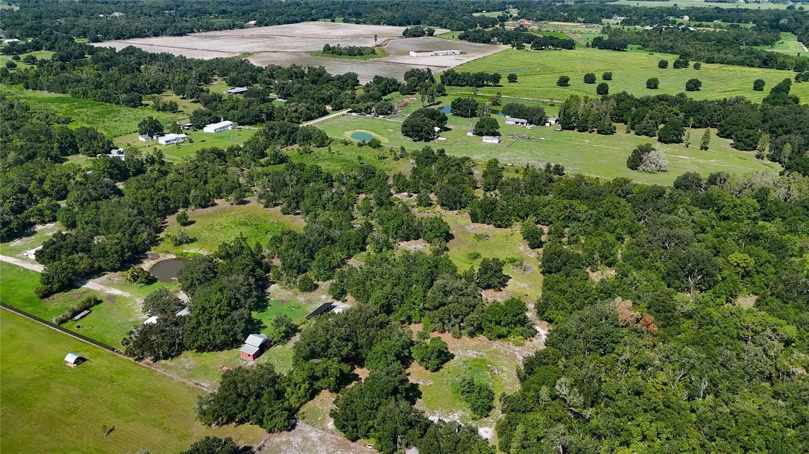 Red Hawk Ln, Plant City, Florida 33565 — photo 19