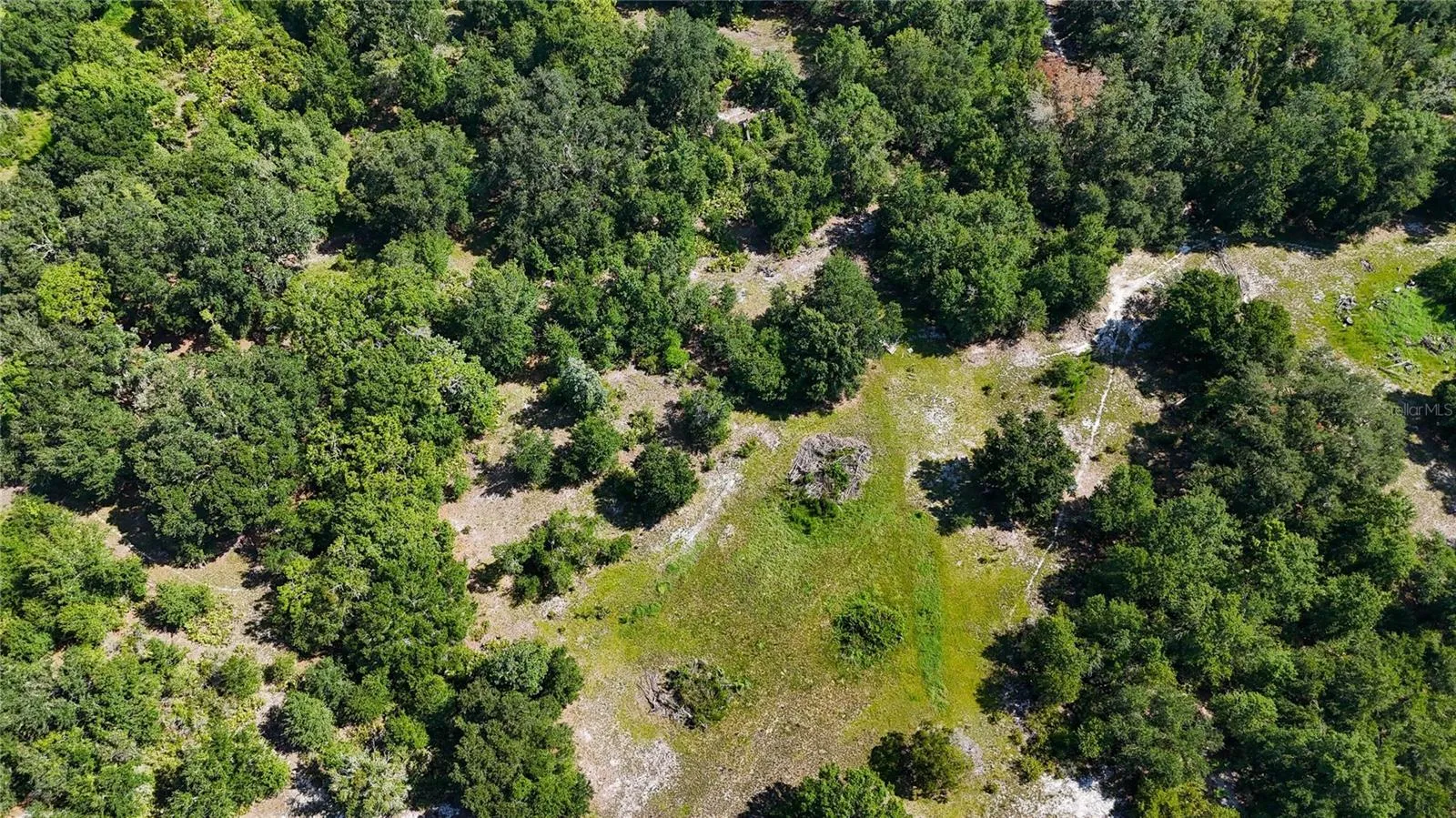 Red Hawk Ln, Plant City, Florida 33565 — photo 34