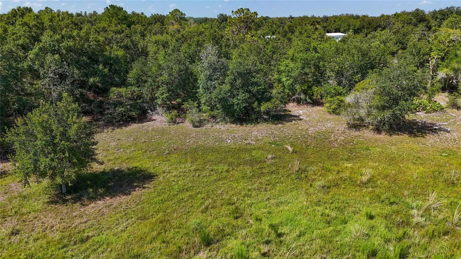 Red Hawk Ln, Plant City, Florida 33565 — photo 26