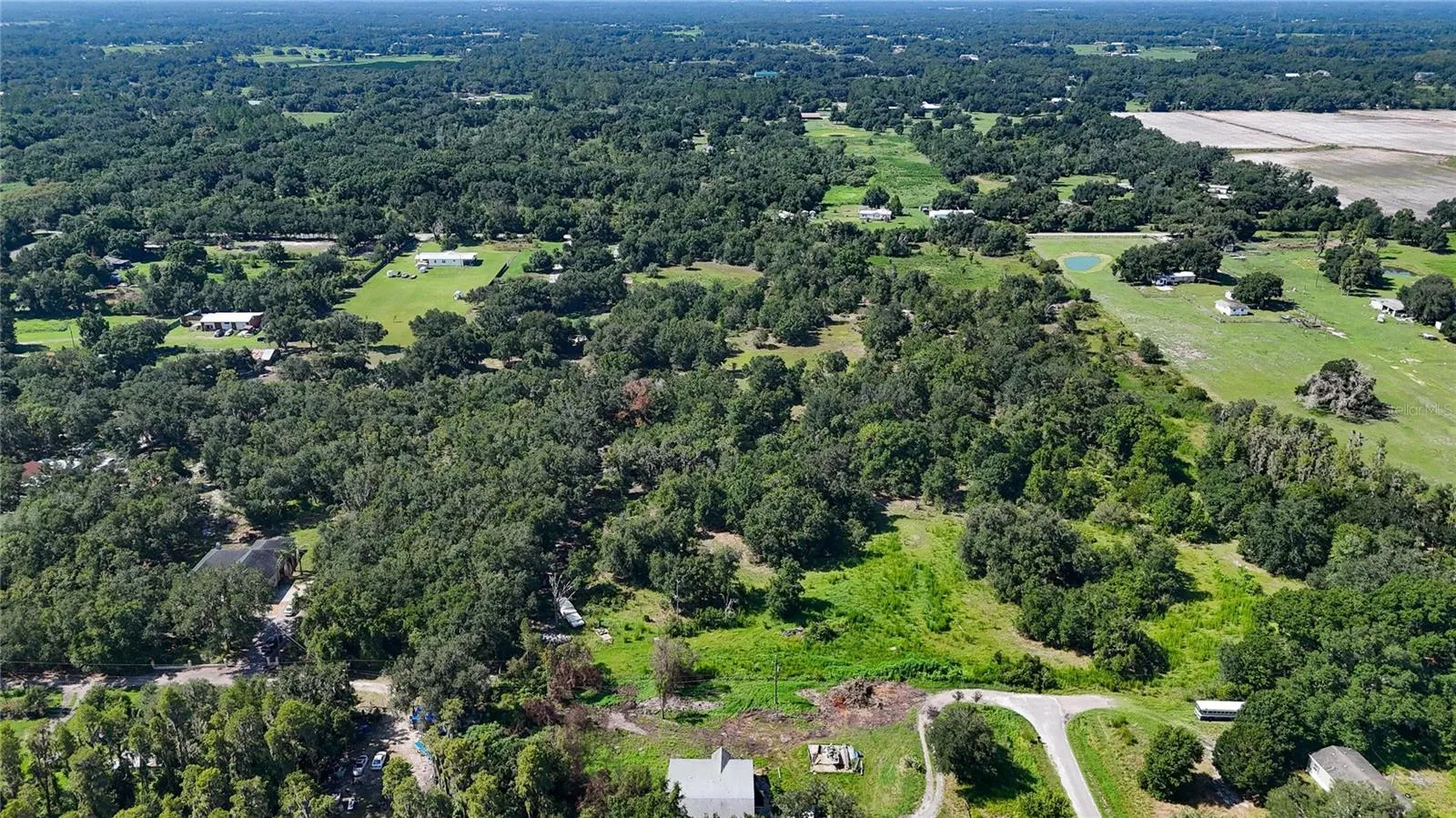 Red Hawk Ln, Plant City, Florida 33565 — photo 9