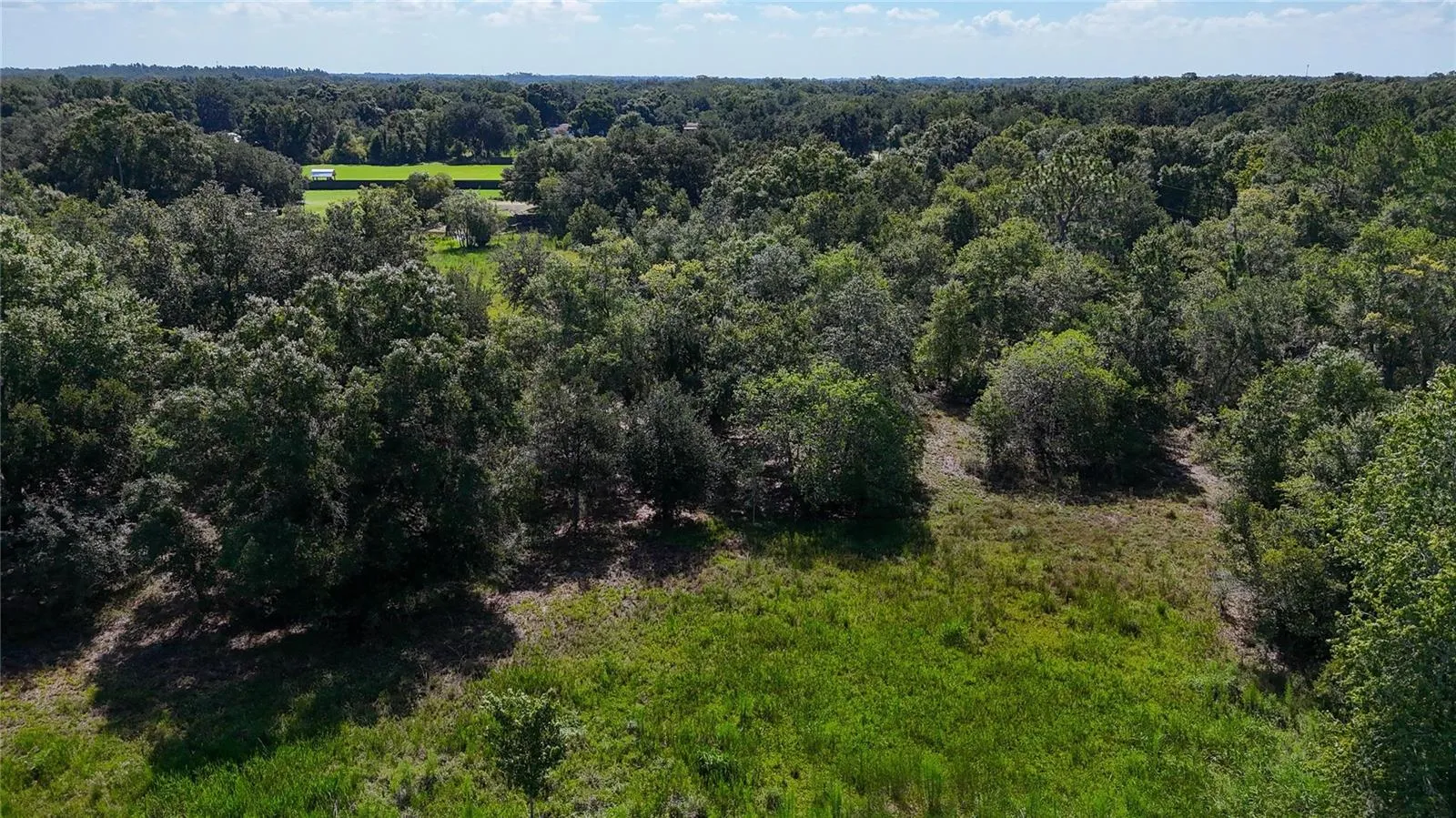 Red Hawk Ln, Plant City, Florida 33565 — photo 7
