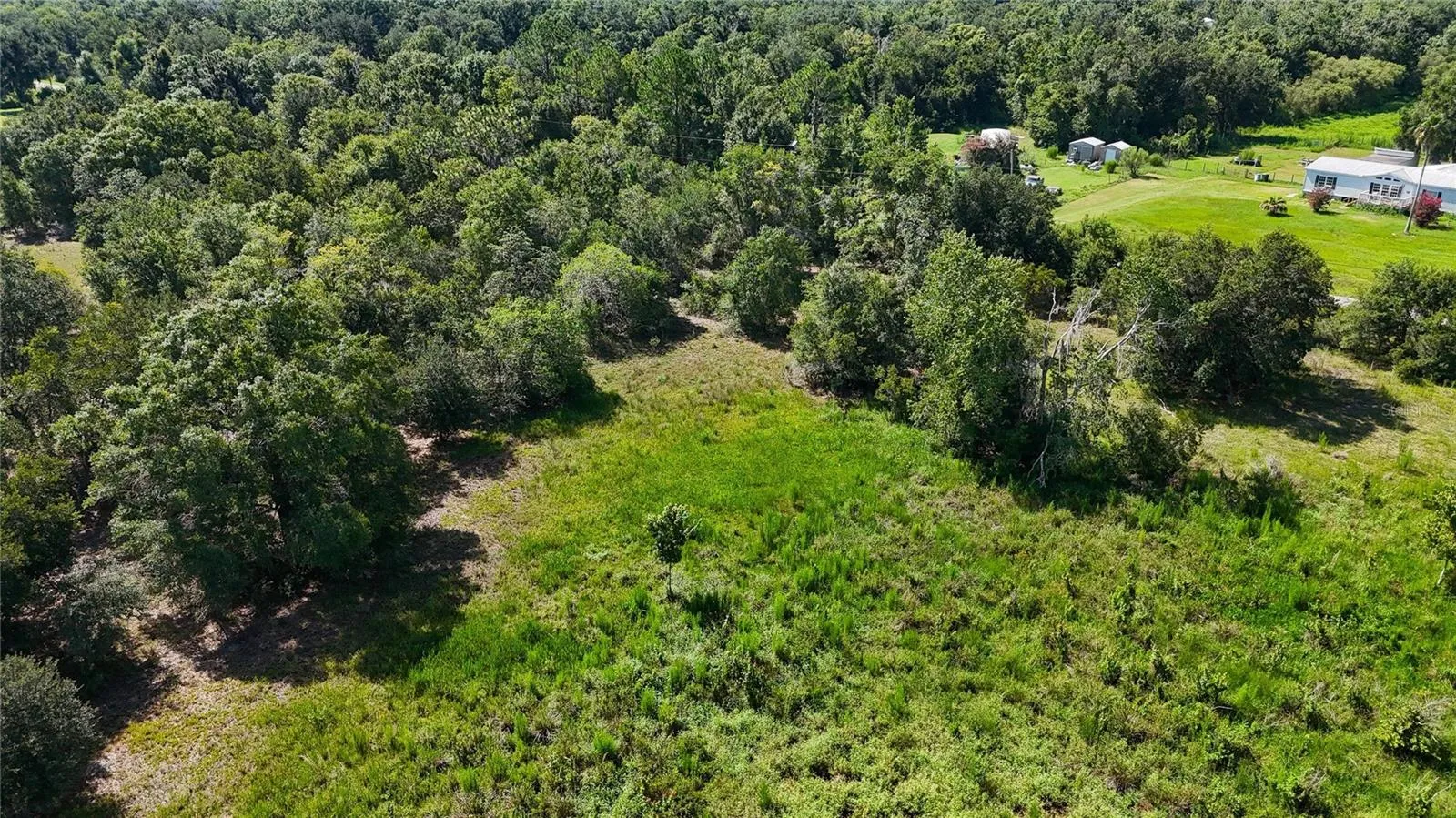 Red Hawk Ln, Plant City, Florida 33565 — photo 40