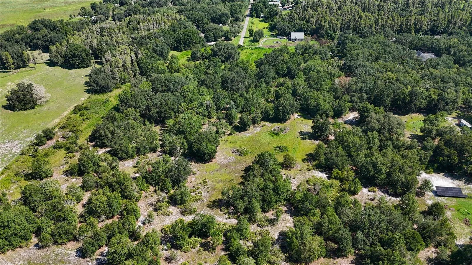 Red Hawk Ln, Plant City, Florida 33565 — photo 33