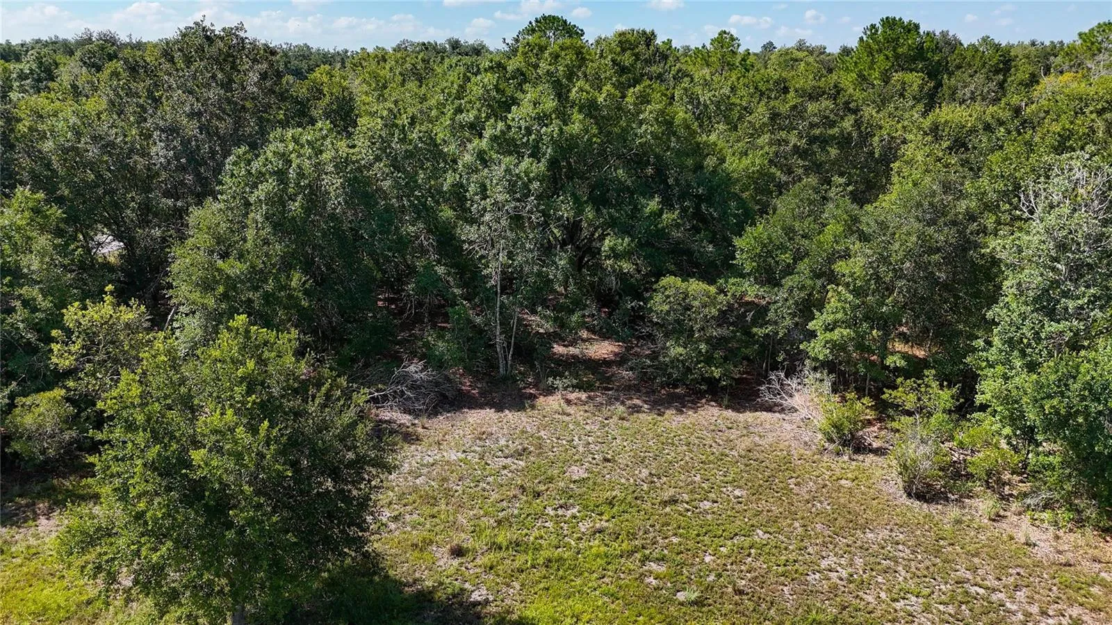 Red Hawk Ln, Plant City, Florida 33565 — photo 30