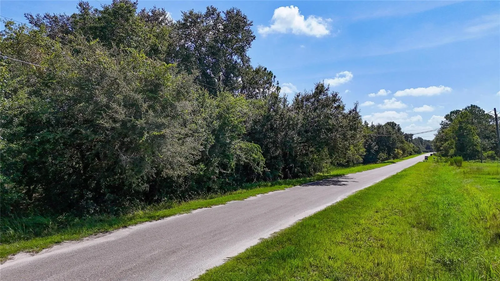 Red Hawk Ln, Plant City, Florida 33565 — photo 4