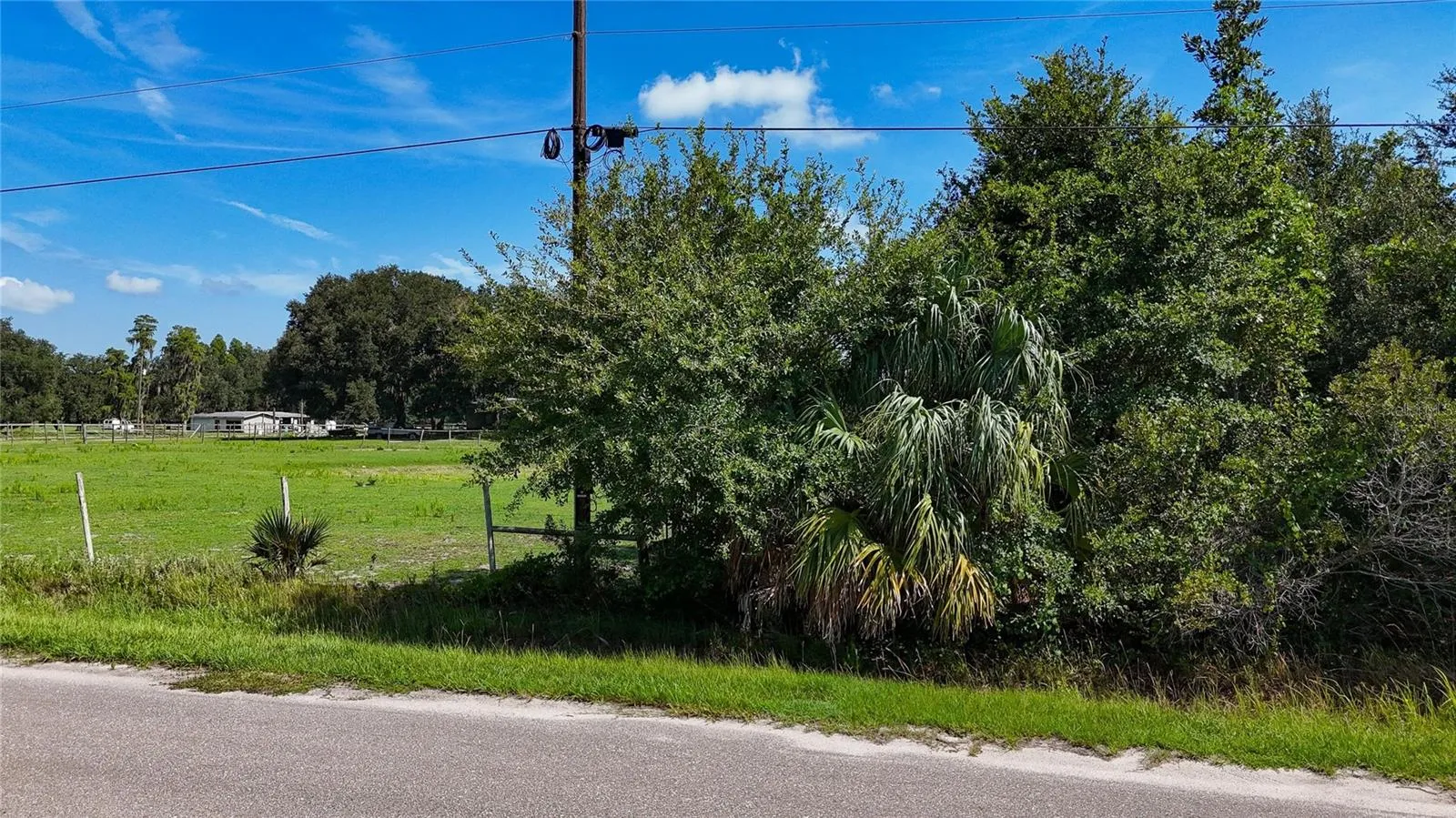 Red Hawk Ln, Plant City, Florida 33565 — photo 42