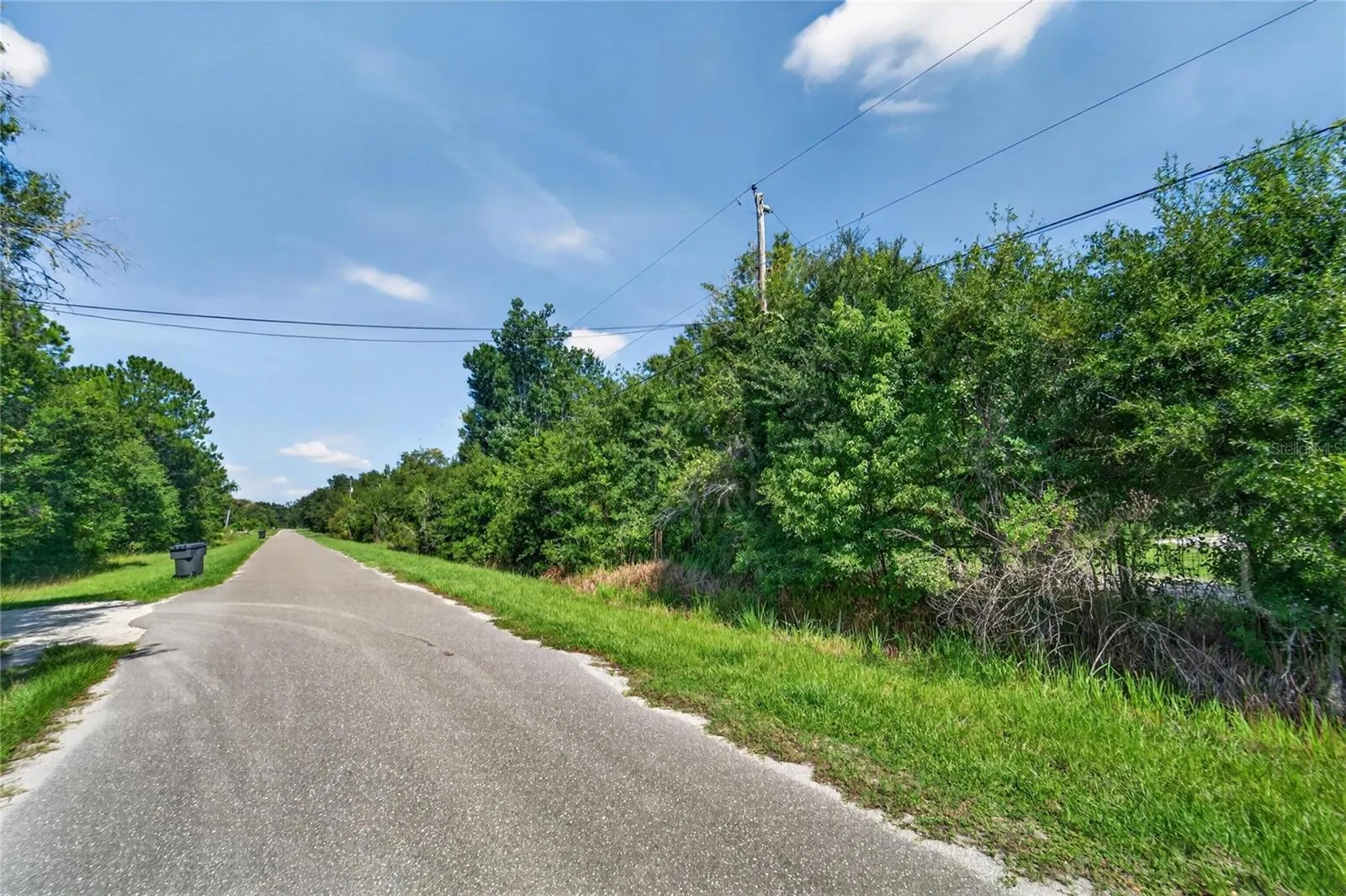 Red Hawk Ln, Plant City, Florida 33565 — photo 44