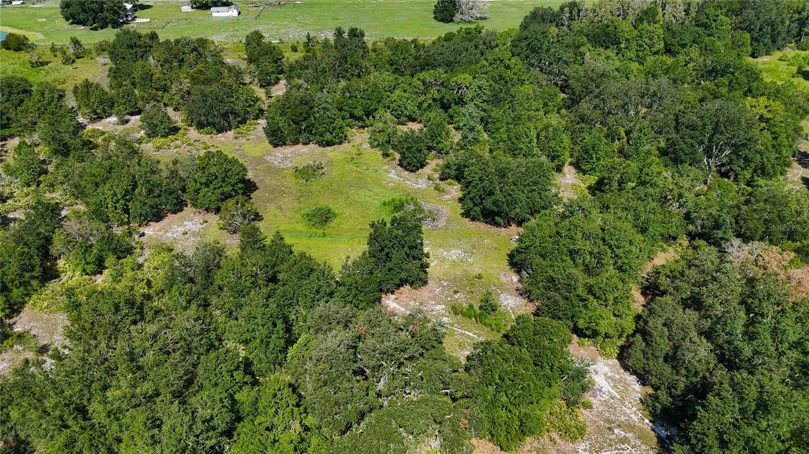 Red Hawk Ln, Plant City, Florida 33565 — photo 23
