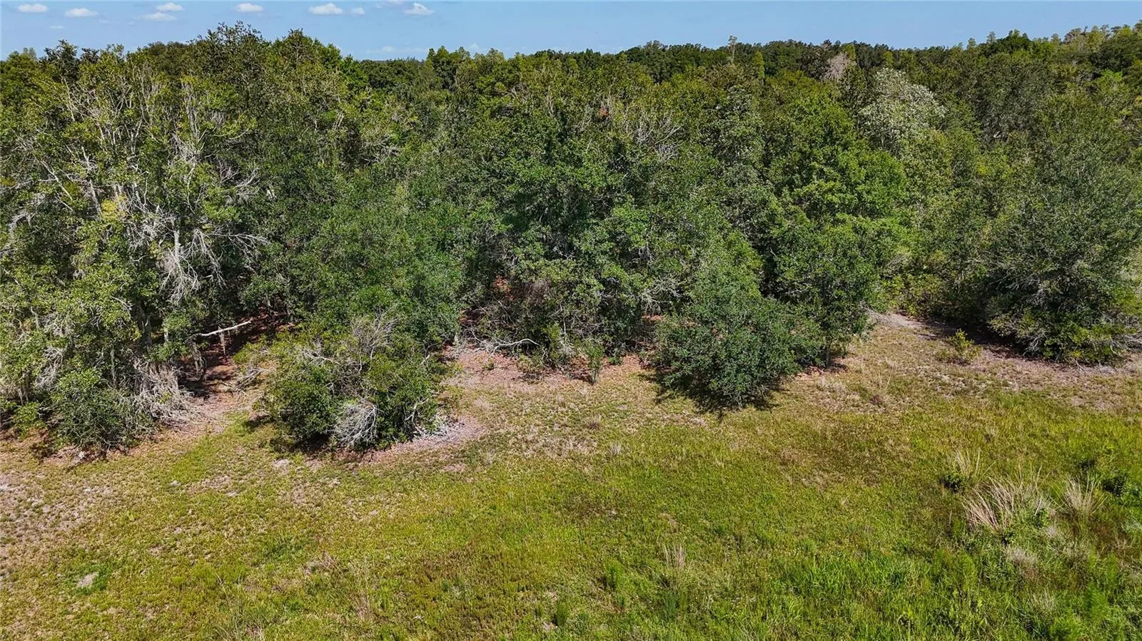 Red Hawk Ln, Plant City, Florida 33565 — photo 27