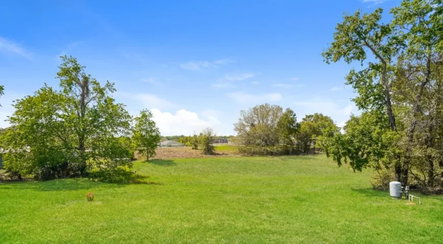 Open Space from the Backyard