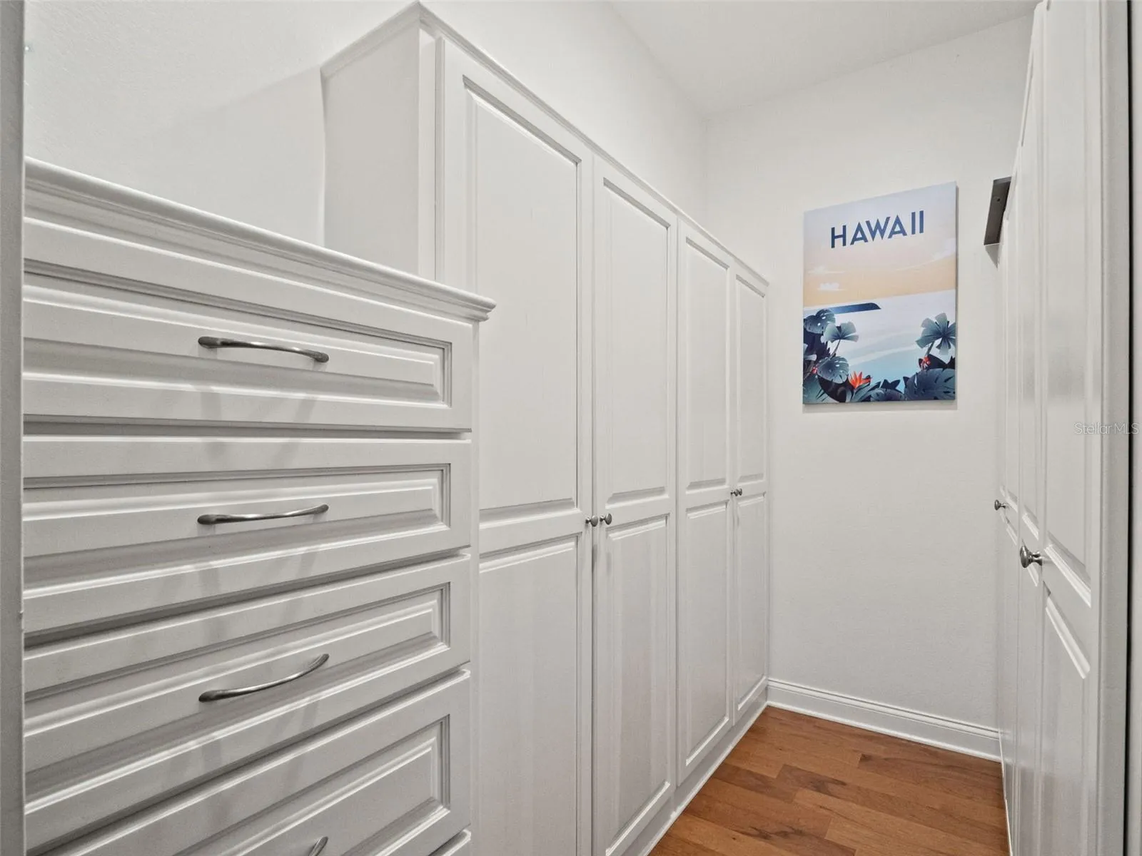 One of two expansive pantries