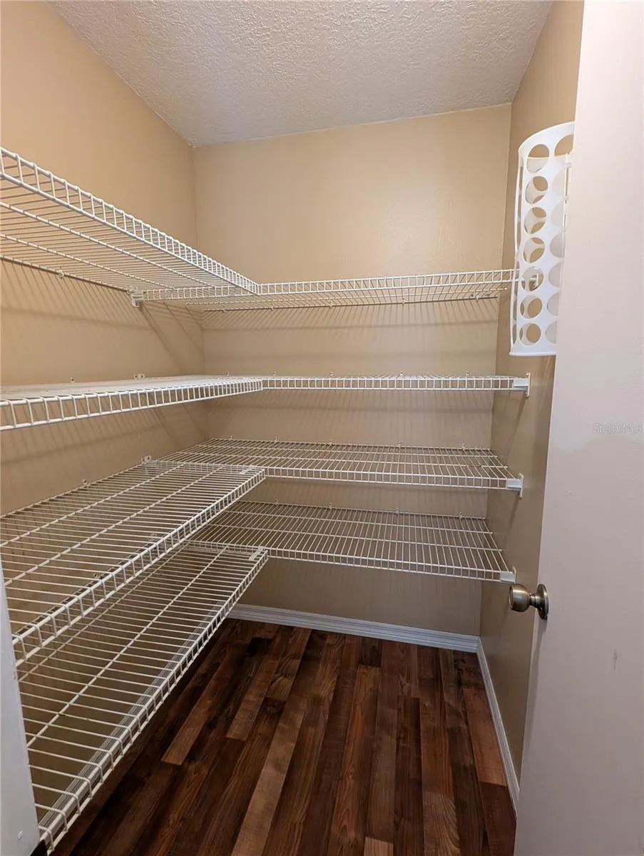 HUGE walk-in pantry