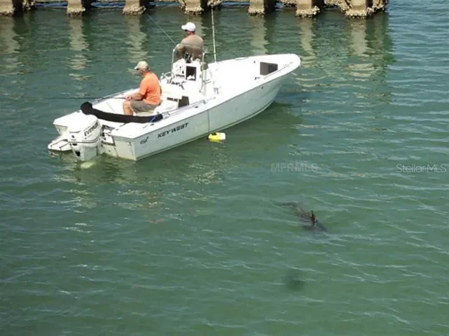 Come Fishy, fish!