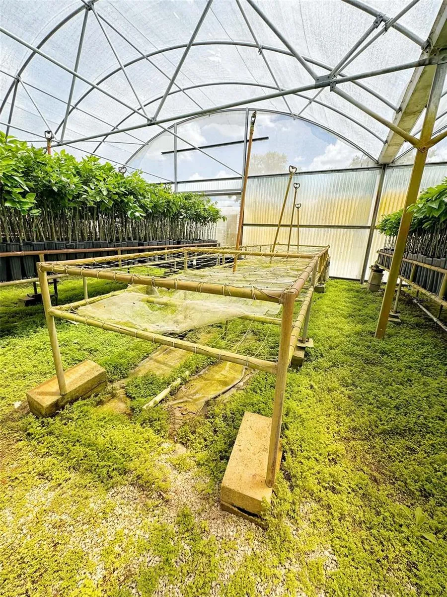 Greenhouse Bench