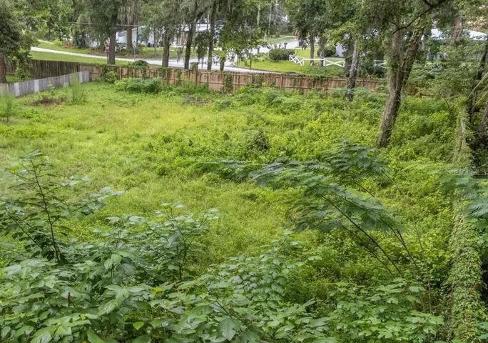 Ground View